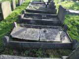 image of grave number 544096